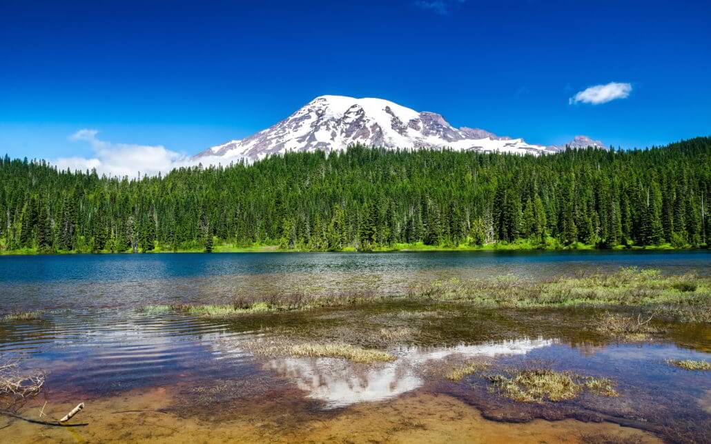 Rainier Cannabis Mt. Rainier